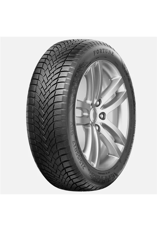 FORTUNE NIVALIS WINTER PRO 255/45 R20 105V XL Cel mai bun preț