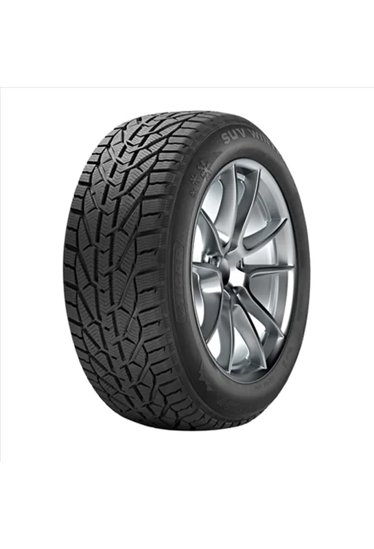 DUNLOP WINTER 175/65 R17 87H Chilipir