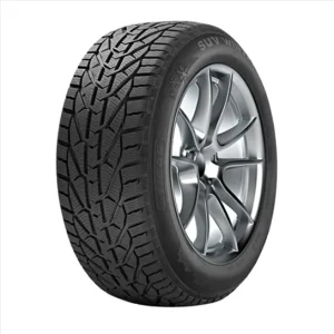 Disponibil imediat DUNLOP WINTER 205/50 R17 93V XL