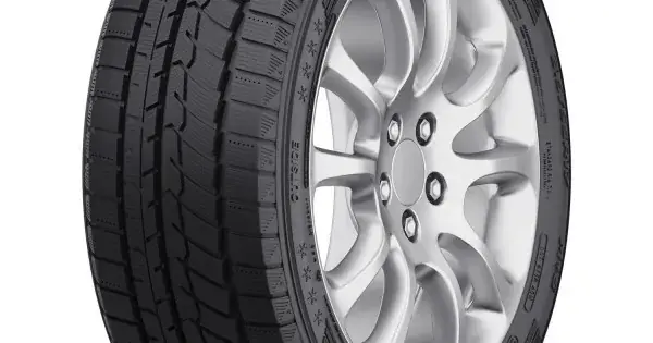 FORTUNE SNOWFUN FSR-901 205/45 R17 88V Ieftin