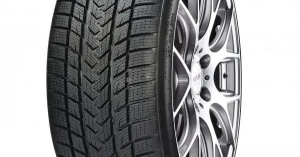 GRIPMAX Suregrip pro winter 255/45 R18 103V Preț mic
