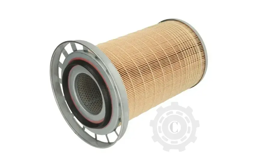 Plată sigură FILTRU AER C 19 384/1
