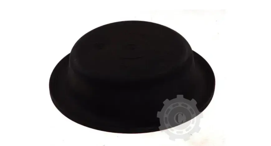 DIAFRAGMA SERVO-MOTOR Vezi acum