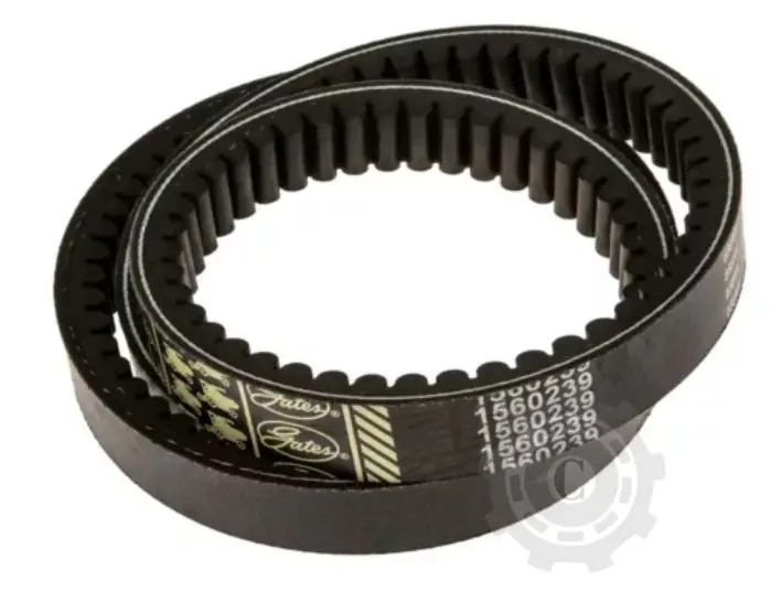 CUREA GATES 1560239 Livrare rapidă