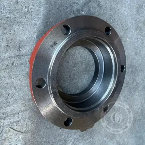 Chilipir CAPAC LAGAR DISC 6 GAURI OEM KUHN