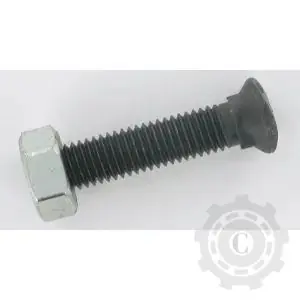 Comandă acum SURUB BRAZDAR M10x50