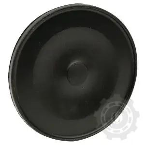 65004031090320P MEMBRANA POMPA LATERALA PLINA FI 120MM Super ofertă