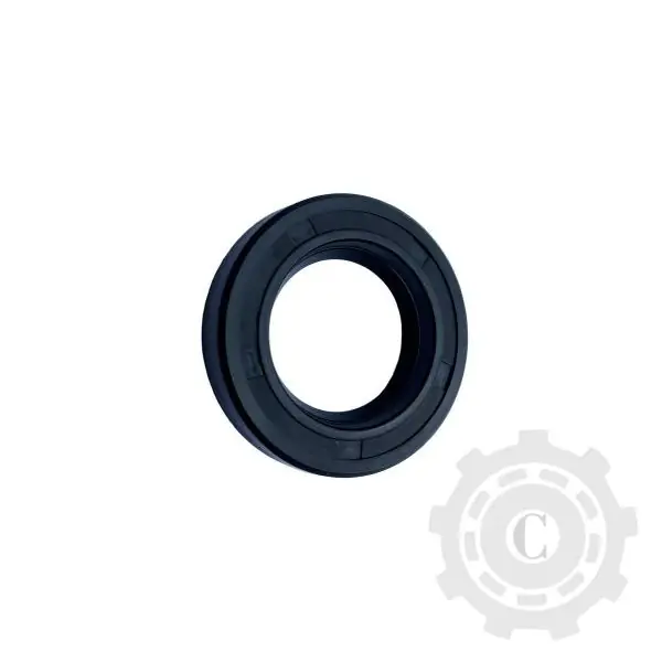 MR 65X100X10 SKF Cumpără online