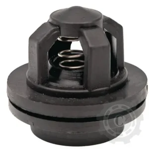 Plată securizată 65004031090322 SUPAPA POMPEI