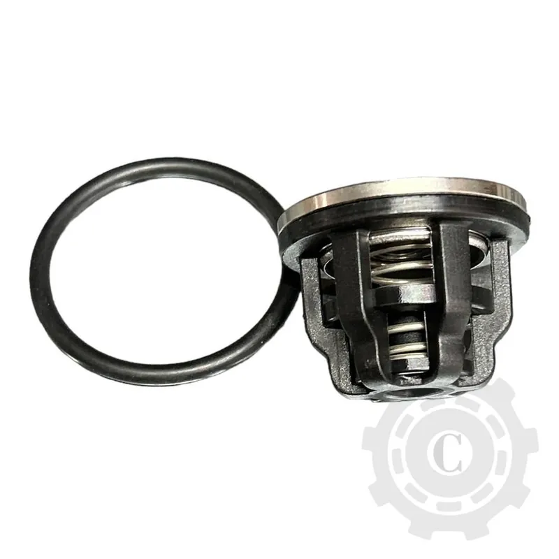 Ofertă KIT VALVE ZETA 230 / 260 / 300 KIT 636 6062D3