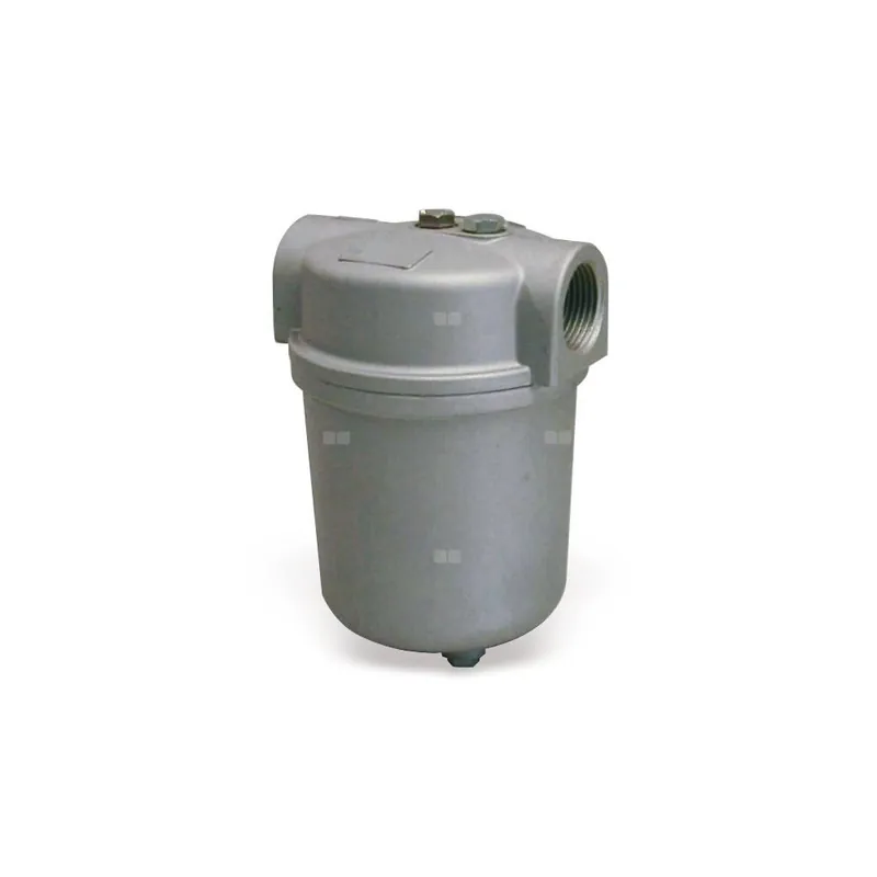FILTRU COMBUSTIBIL 7010103 Livrare gratuită