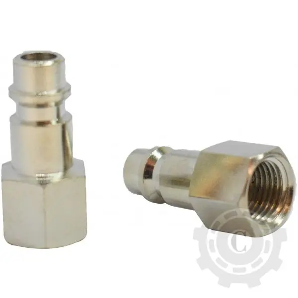 CUPLA RAPIDA TATA ANTIPICURARE FILET INTERIOR BSP 1/4-6 Expediere rapidă