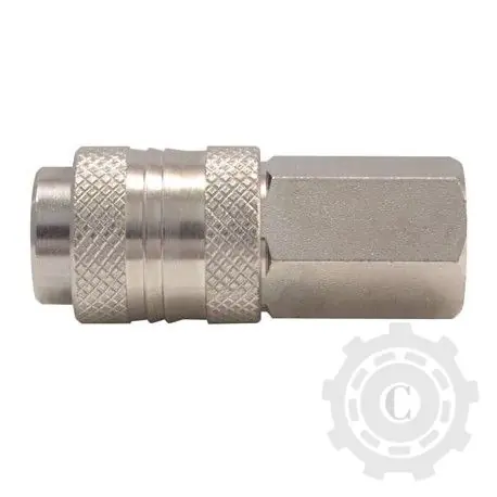 CUPLA RAPIDA MAMA ANTIPICURARE FILET INTERIOR BSP 1/4-06 Doar azi