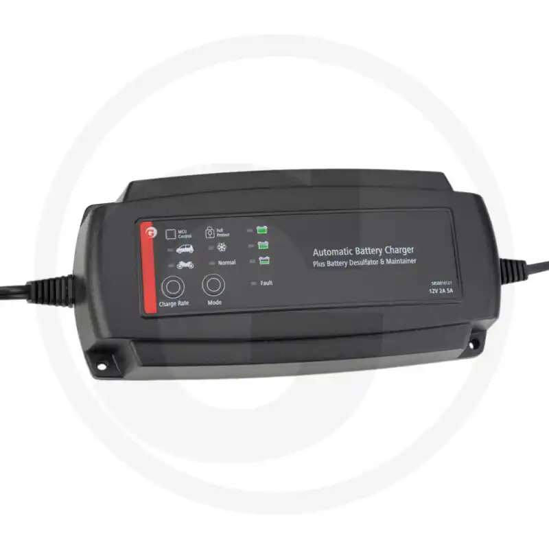 REDRESOR ACUMULATORI ELECTRONIC Transport gratuit