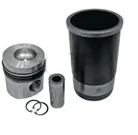 SET PISTONE COMPLET 38021023 Disponibil imediat