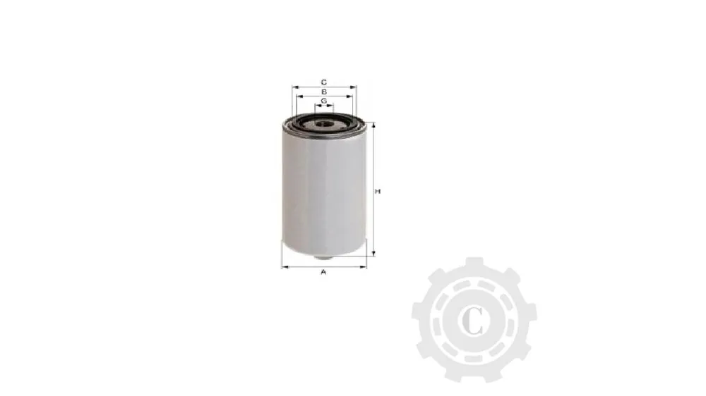 Ofertă de sezon FILTRU DE COMBUSTIBIL FS19754