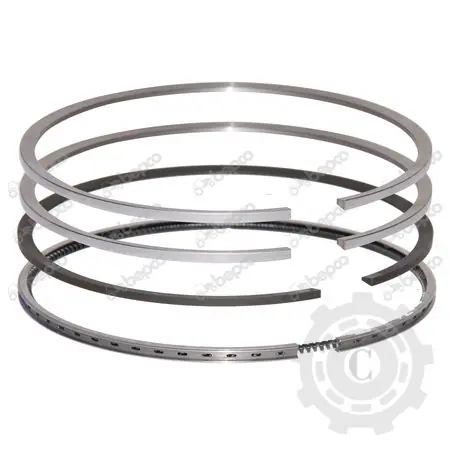 SET SEGMENTI 24/34-121 FI104,77 Plată sigură