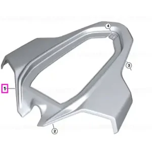 Doar azi Panou ornamental posterior central, nevopsit - BMW Motorrad K66 (M 1000 RR), K67 (S 1000 RR) - tip motor A67