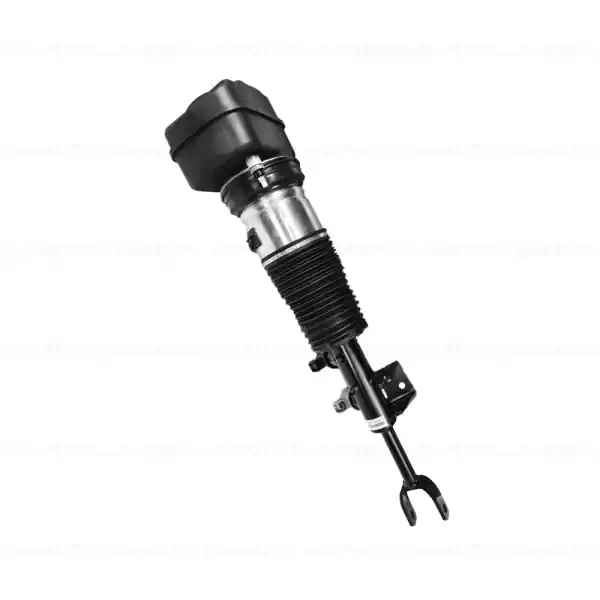 Amortizor pneumatic suspensie, punte fata, dreapta - BMW Seria 7 G70 Preferatul clienților